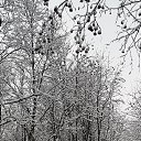 ���� ��������, ��������, 55 ��� - ��������� 6 ������ 2020 � ������ ������ ��������