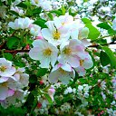 ���� &hearts;&bull;������&bull;&hearts;, �����-��������� - ��������� 19 �������� 2020 � ������ ������ ��������