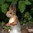 ���� Squirrel, ������ - ��������� 12 ������ 2020