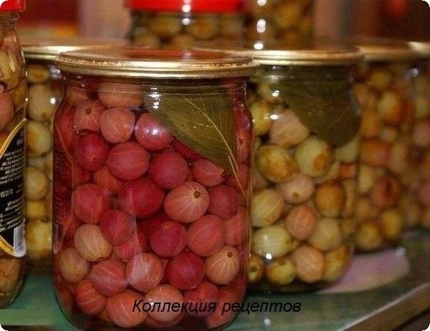 #заготовки.ТОП-10 рецептов из крыжовника1. ИЗУМРУДНОЕ ВАРЕНЬЕ ИЗ КРЫЖОВНИКАКрыжовник для варенья ...