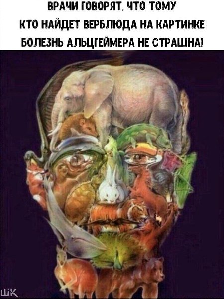 Первое, что у меня в голове