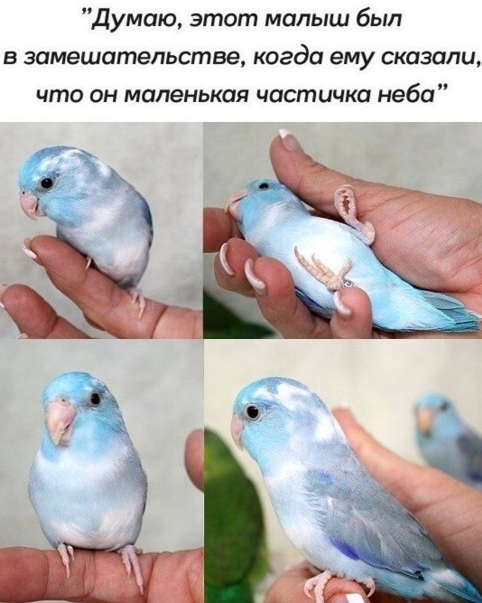 LIFE -  - 12  2020  20:12