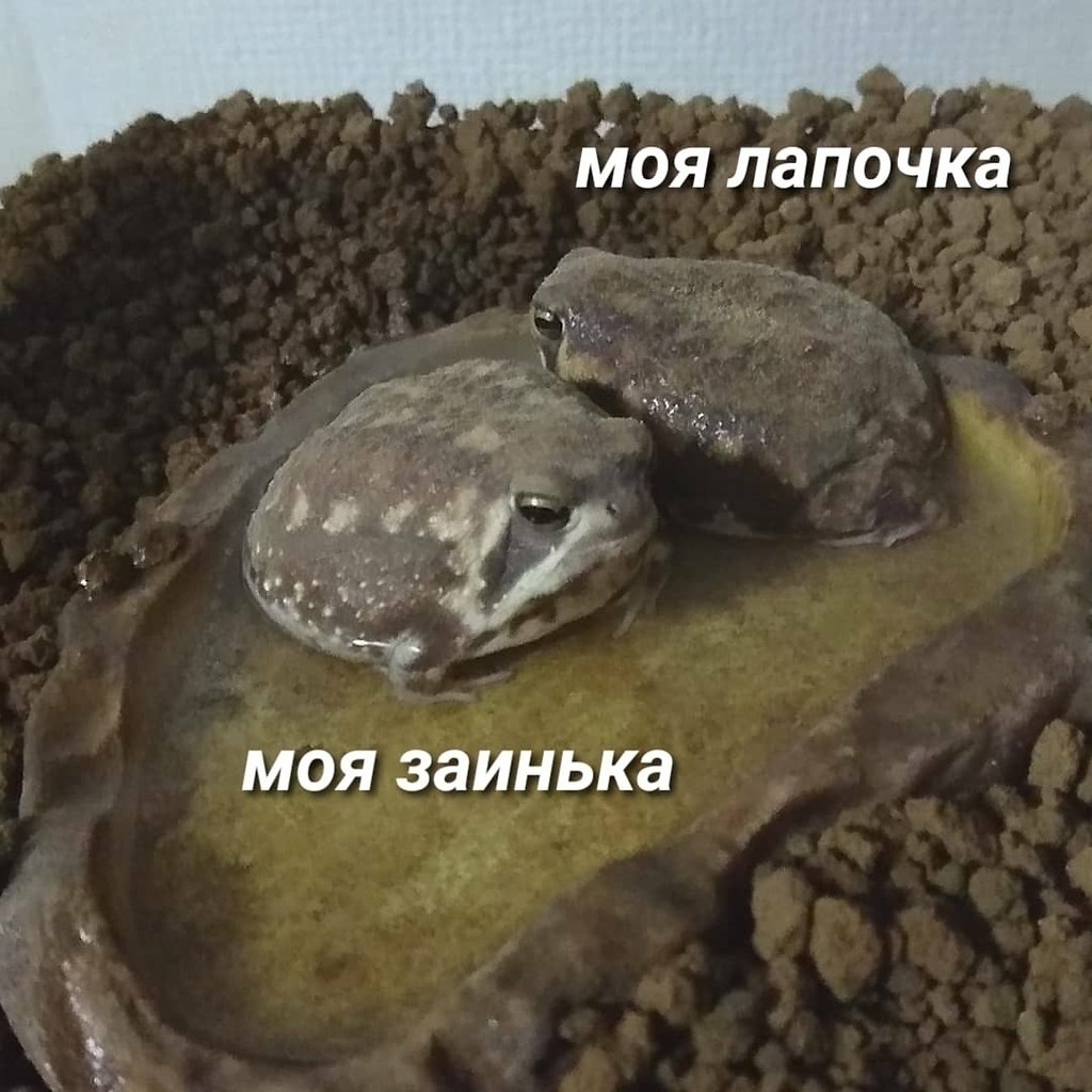  3  :