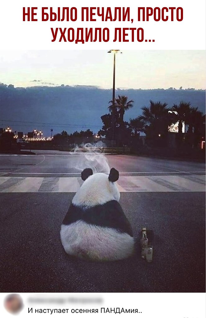 ������ - 16 ������� 2020 � 20:17