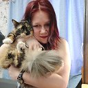 ���� �����, �����-���������, 34 ���� - ��������� 5 ������� 2021 � ������ ���� ����������