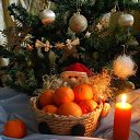 ���� ������, ���������, 41 ��� - ��������� 8 ������� 2020