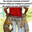 ���� ������, ����, 51 ��� - ��������� 15 ������� 2020