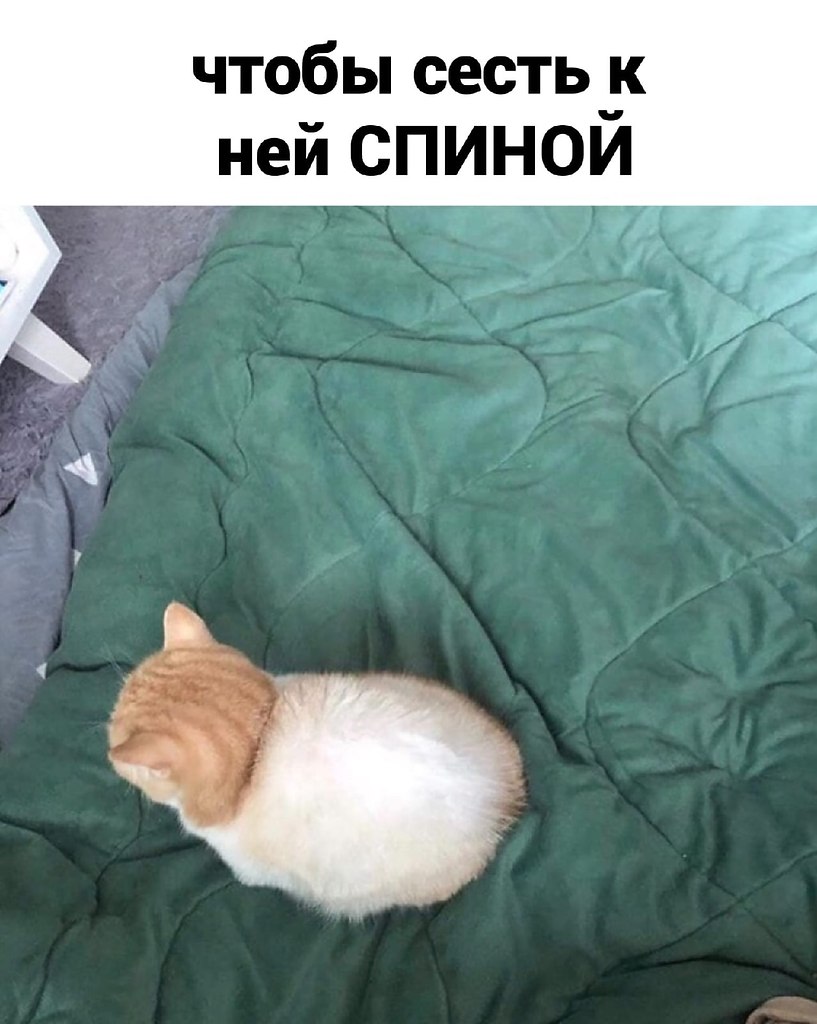     - 3