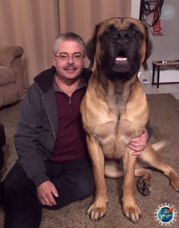 oa coaa oo opoca...  - 2