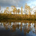 ����������! �� ������� ���������� ��� �����. �������� �������, ���� ������ 2020 ���.�