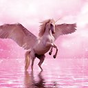 ���� �����, ����, 25 ��� - ��������� 25 ������ 2020