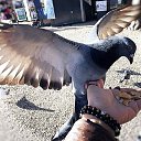 ���� �����, ��������, 50 ��� - ��������� 18 ����� 2021 � ������ ���� ����������