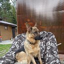 ���� ��������, ��������� - ��������� 11 ������� 2020 � ������ ���