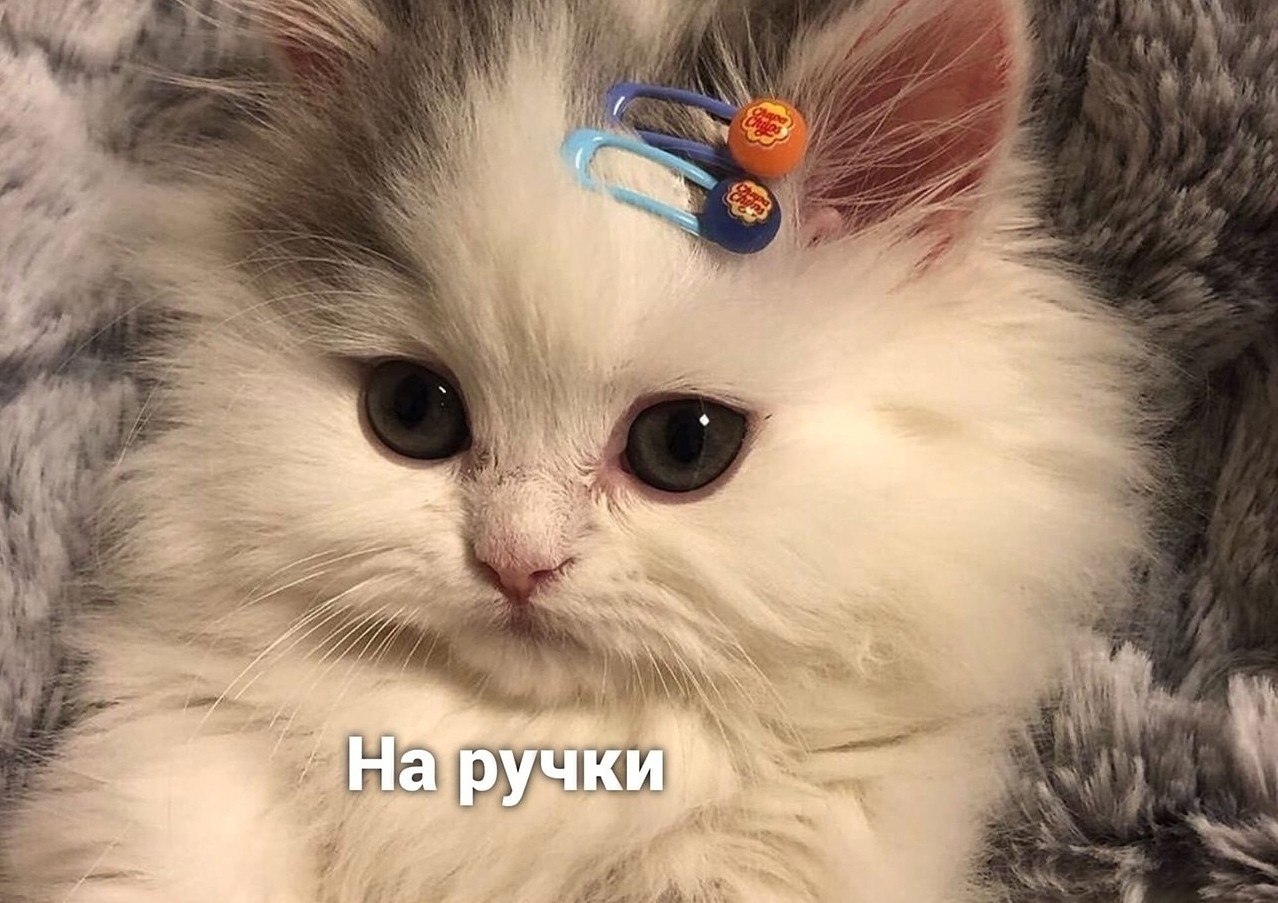 a oo a pa  c.handmde j - 3