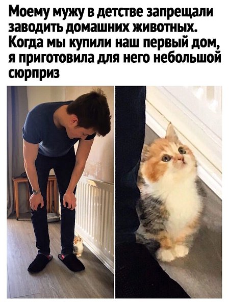  - 18  2021  21:29