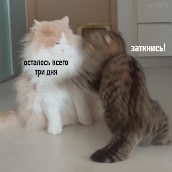   :  - 2
