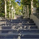 ,  ,26.08.20. 9.50.    2020