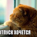 ���� Alex M, ��������� - ��������� 27 ������� 2020 � ������ �������