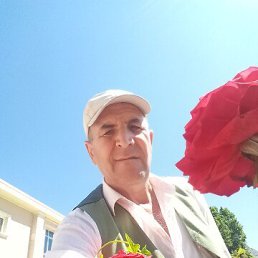 Ejder, , 62 