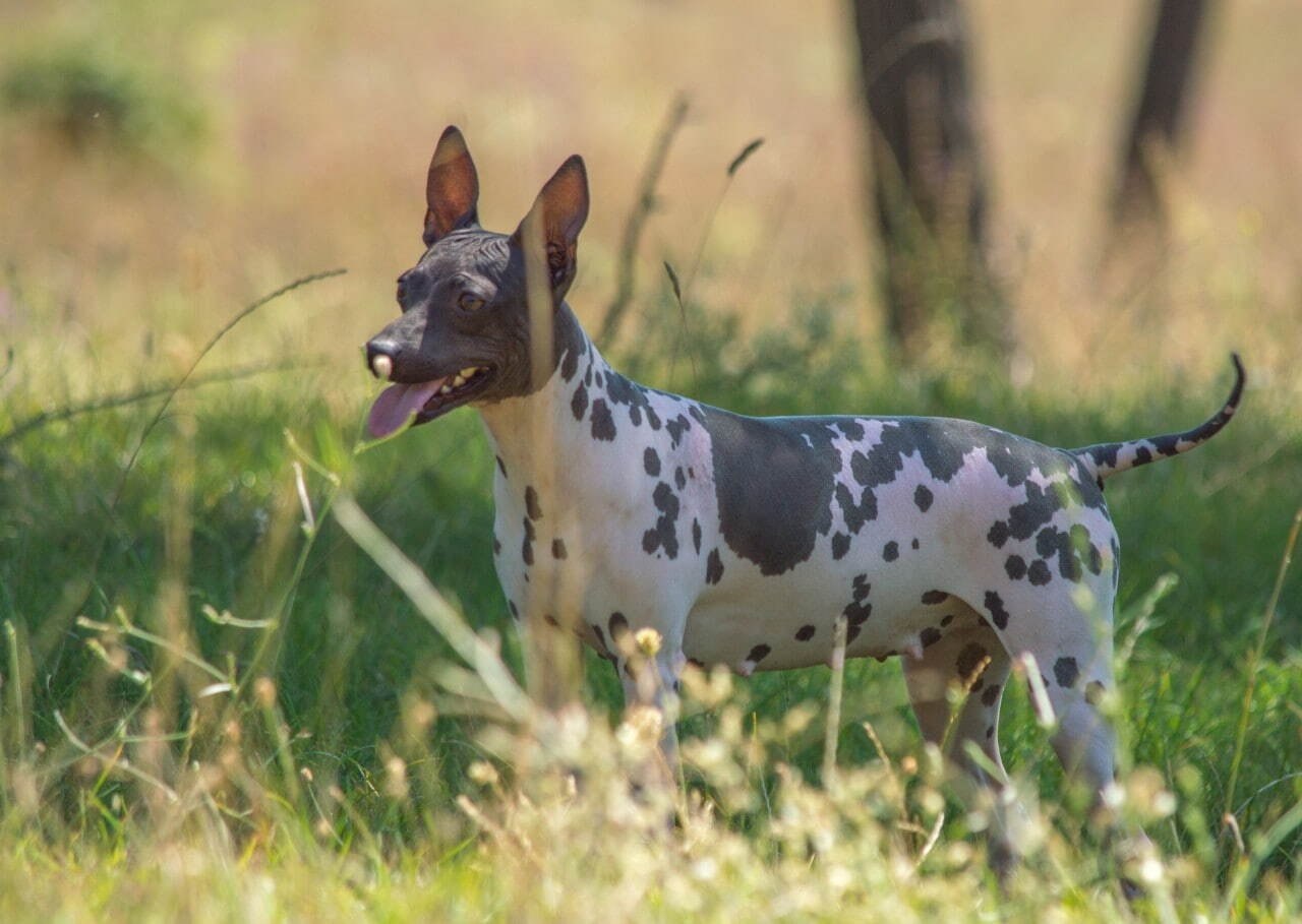 ������ - 8 �������� 2020 � 21:01