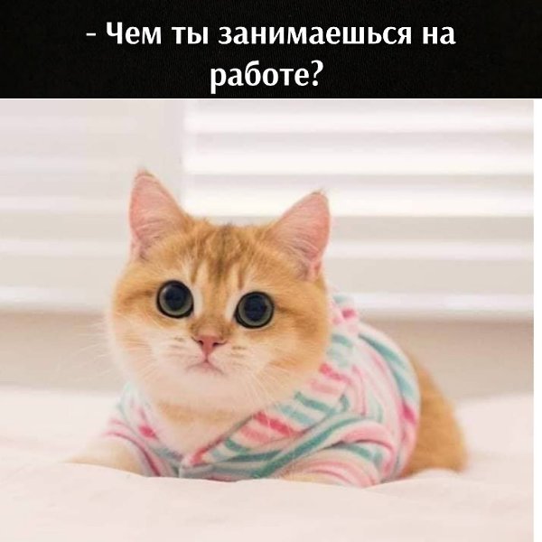 ��� ���� � ����� �� �� - 13 ����� 2021 � 09:34