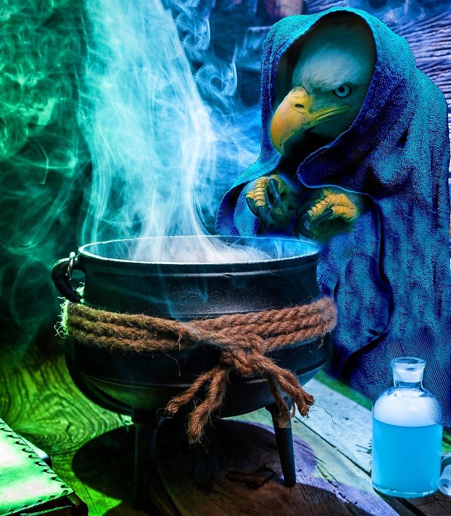 Орла завернули в полотенце и он стал звездой - 5