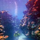 ���� Cornell, ������ - ��������� 18 ����� 2021 � ������ �������� � ����� ������.�