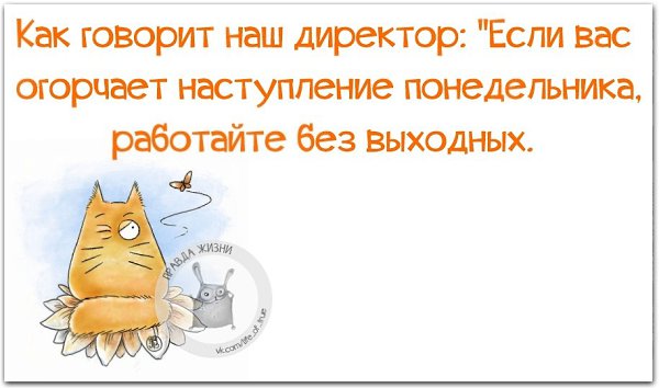 ������ ����� - 19 ����� 2021 � 00:24
