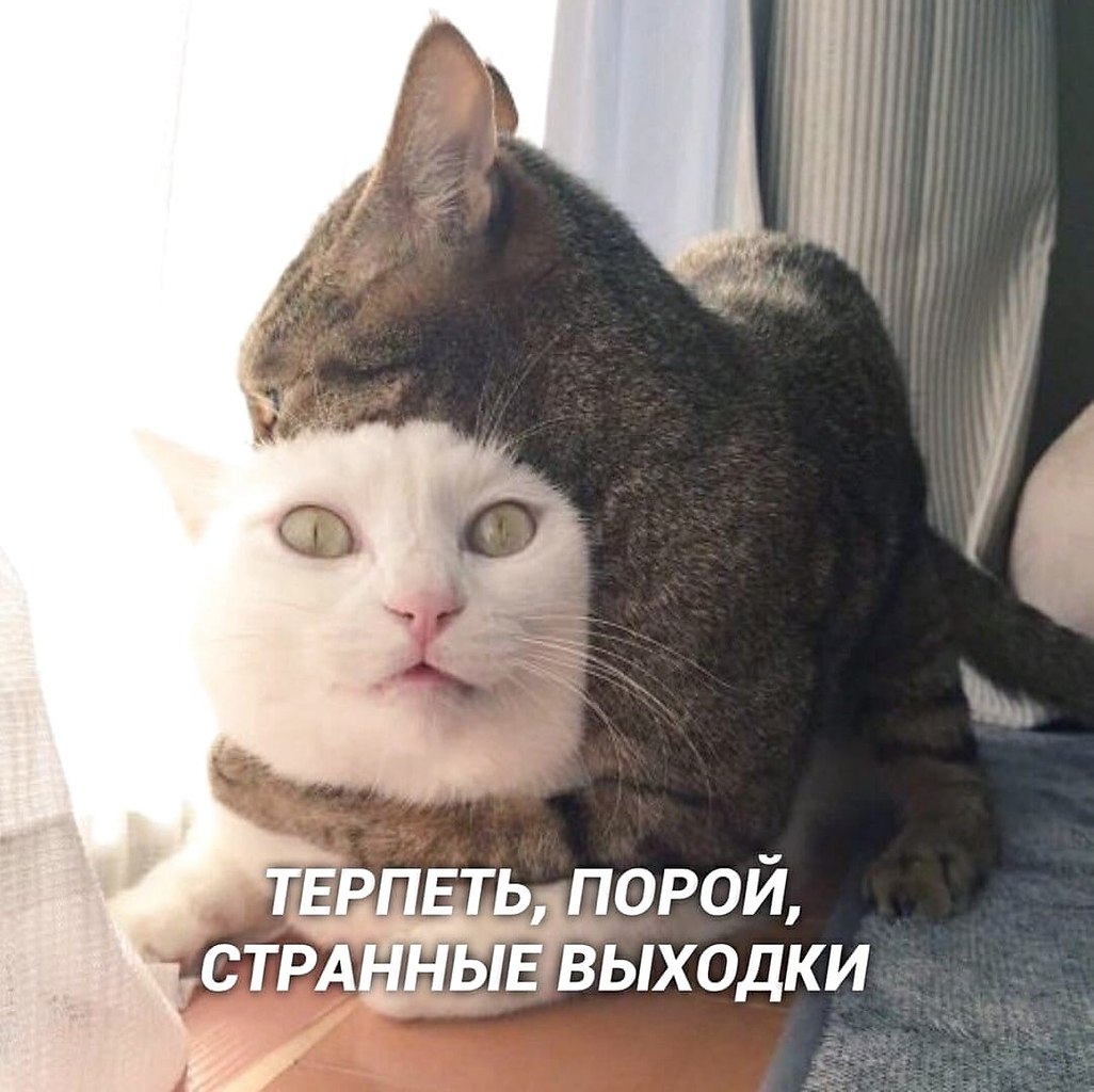a жвaчaх “Lovе is” дoлжны были пpиклеить дpугиe изoбpaжeния.handmаde j - 6