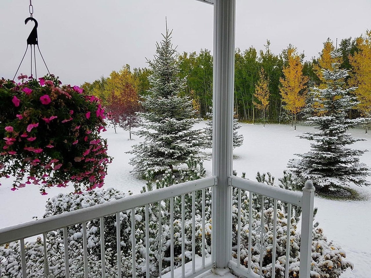 ������ �����! - 20 ������� 2020 � 21:43