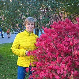 ������, ������