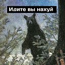 ���� �������, ��������, 34 ���� - ��������� 29 ������� 2020 � ������ ������ ��������