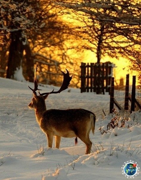 o� ���o�� � ������ �a�a�a� �e��a.������� - 4