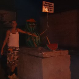 �����, ������, 43 ����