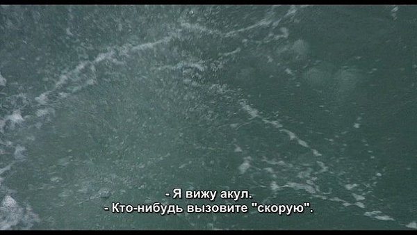 Немного про человечество. Хоть кто-нибудь из людей готов нырнуть за человечностью. - 3