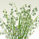 ���� ������, ������������ - ��������� 24 �������� 2020 � ������ ��������