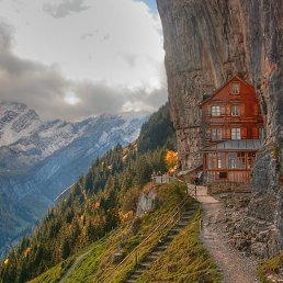 �������, ������ ��������, 48 ���