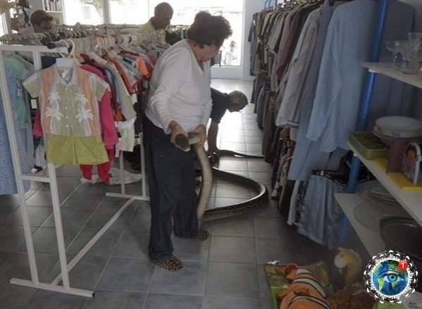 oea  cpa, oop o, a e eceo, oop o... #