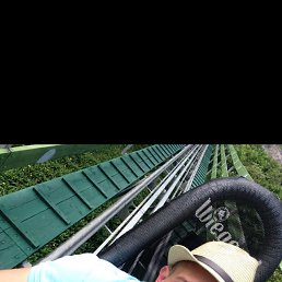 �������, �������, 38 ���