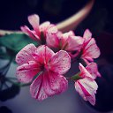 ���� ����, ������ - ��������� 29 �������� 2020 � ������ ���� ����������