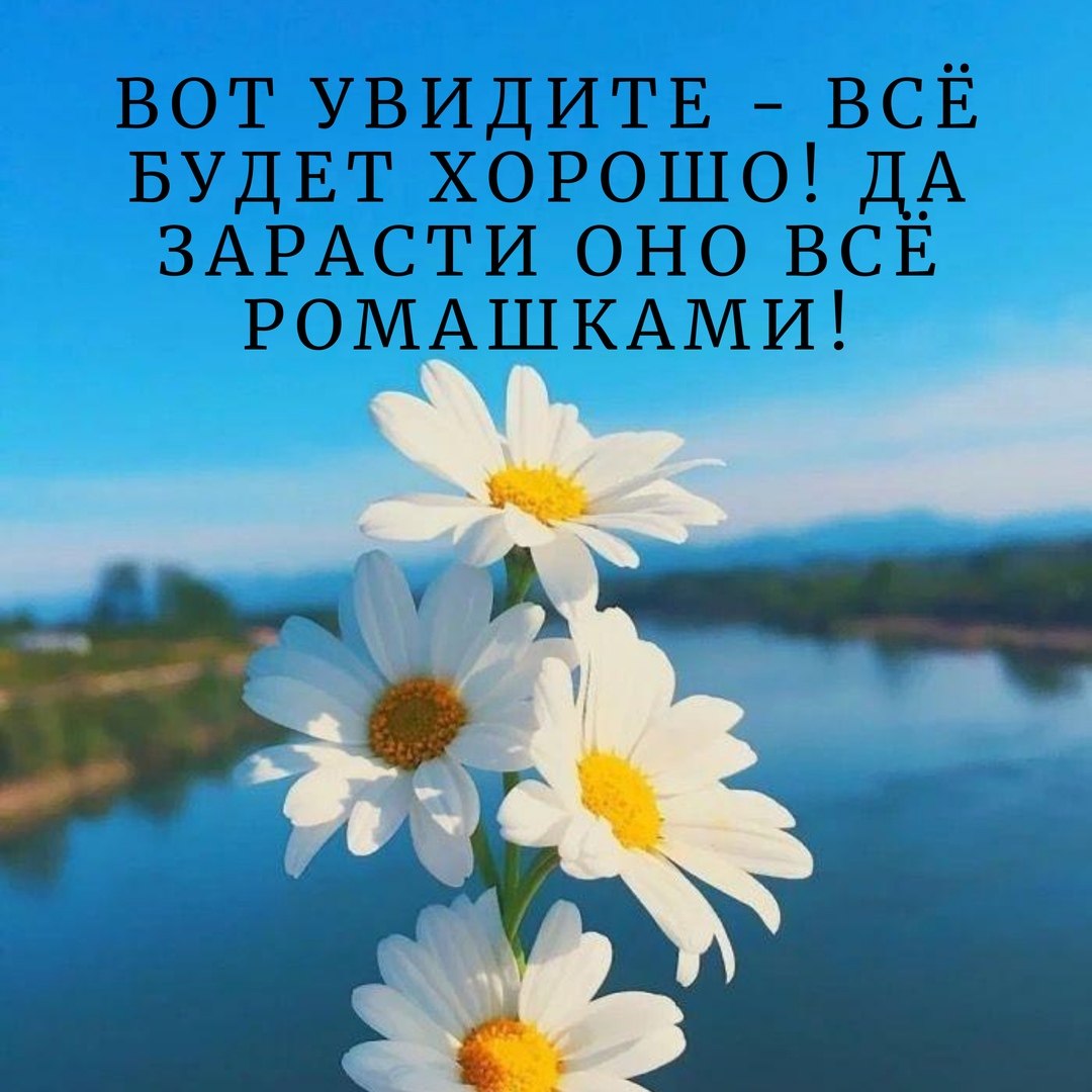  (   ) - 18  2020  15:45