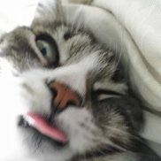 ������, 51 ���, ������