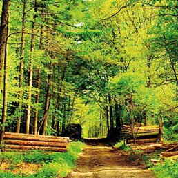 Cems, ��������, 43 ����