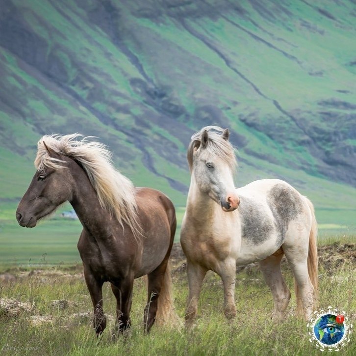 cace oa  oee ina hull. - 6