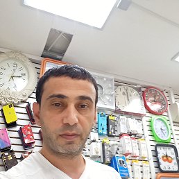 ���� ������, ������, 48 ��� - ��������� 15 �������� 2020