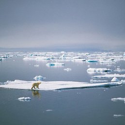 Takhir, ������, 63 ����