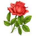 ���� ����, ���������� - ��������� 6 ������� 2020 � ������ ���� ����������