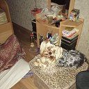 ���� ��������:maik 2134 ������"�������", �����-���������, 47 ��� - ��������� 5 ������ 2020 � ������ ���� ����������