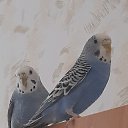 �������! �� ������� ������ ��������