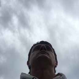 �������, ��������, 40 ���